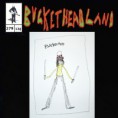/album/buckethead/buckethead-skeleton-keys-jpg/